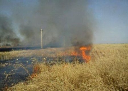 آتش زدن بقایای محصولات کشاورزی در دهلران غیر قانونی است