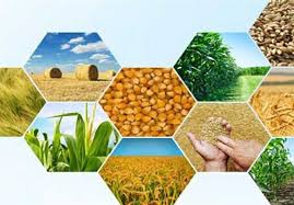 افتتاح ۶۲ پروژه کشاورزی در هفته دولت در ایلام